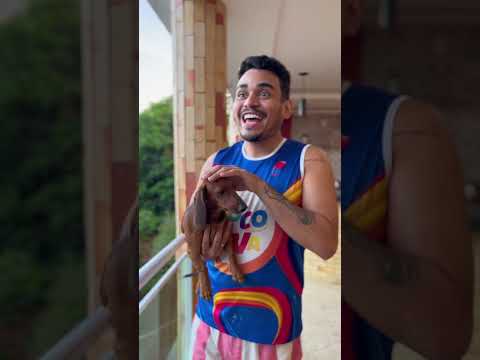 Quem vai segurar o cachorro? 😂😂