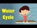 Water Cycle Processes and Terminology