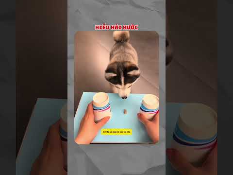 Sen chơi trò gì kỳ quá🤣