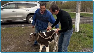 видео