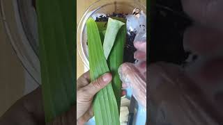 ข้าวต้มกล้วยข้าวเหนียวดำ