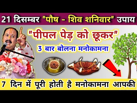 21 दिसंबर पौष शनिवार के उपाय | 7 दिन में मनोकामना पूरी | shaniwar ke upay pradeep mishra