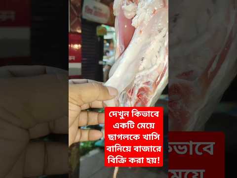 দেখুন কিভাবে একটি মেয়ে ছাগলকে খাসি বানিয়ে বাজারে বিক্রি করা হয়! #youtubeshorts #shorts