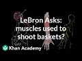 Understanding Muscles in a Free Throw