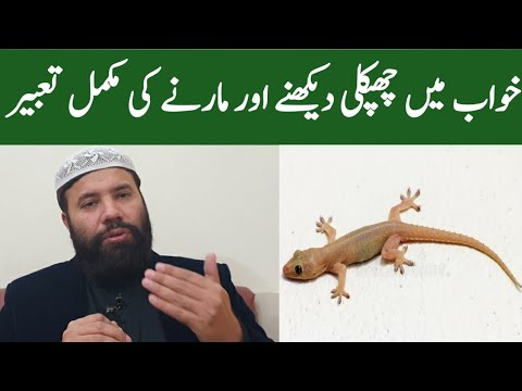 Khwab mein chipkali dekhna | khwab mein chhipkali dekhna | khwab mein chipkali ko marna