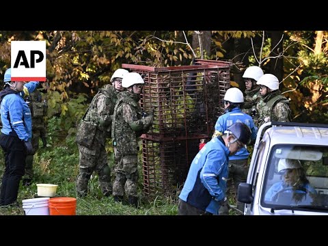 YouTube video thumbnail: Japan Deploys Military to Counter a Surge in Bear Attacks
