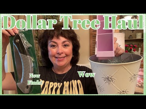 DOLLAR TREE HAUL | NEW FINDS!