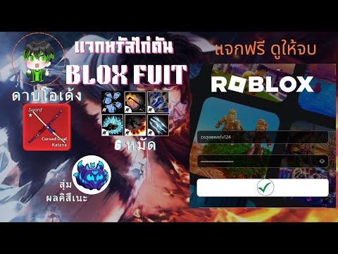 แจกรหัสไก่ตันbloxfuitเผ่า4ตึงๆแจกรหัสไก่ตันbloxfruitsbloxfru