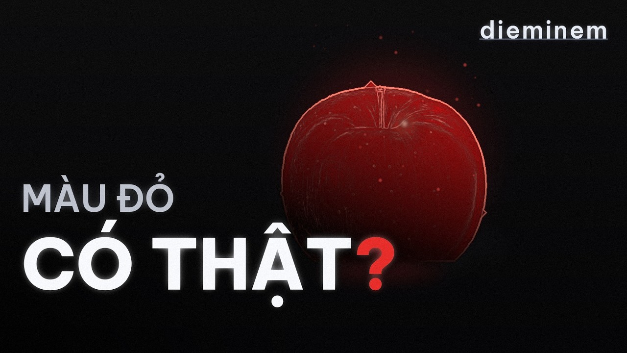 Bạn Có Đang Nhìn Thấy Thế Giới Thật?