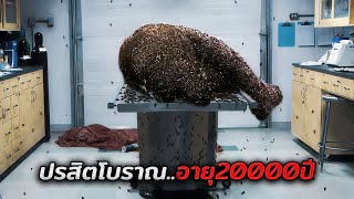 พวกเขาเจอซากแมมมอธโบราณ..โดยไม่รู้ว่ามันมีปรสิตสุดอันตรายซ่อนอยู่ (สปอยหนัง)