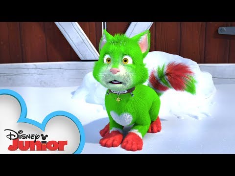 Official Trailer! 🎄| Spookley and the Christmas Kittens | Disney Junior