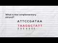 DNA Structure and Function Concepts