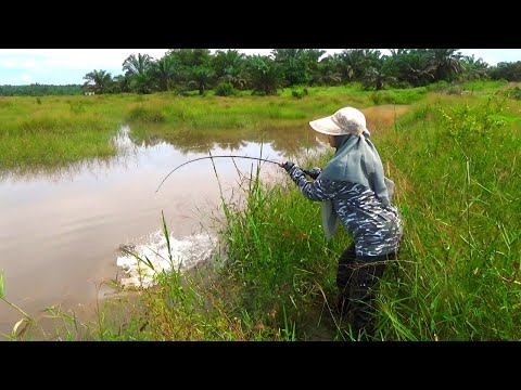 UMAK!!! HAMPIR HILANG JANTUNG KU. TIBA-TIBA MELEDAK DARI BAWAH AIR