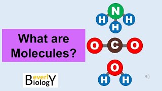 Molecules (and Covalent bonds)