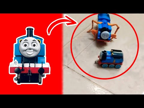 THOMAS en la Vida real