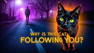 Why Cats Follow You: Unveiling Spiritual Meanings Behind Their Behavior! 🐾✨