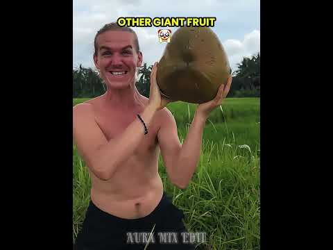 Other Giant Fruit  VS The last One