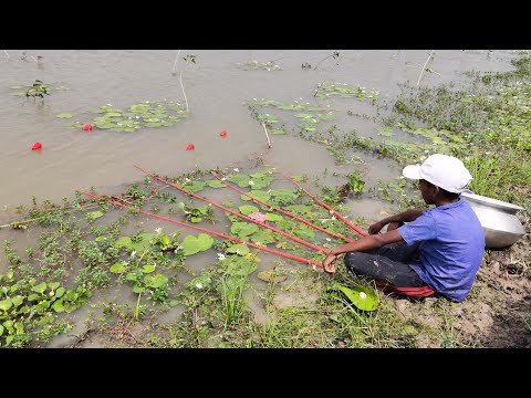 Best Hook Fishing Video | Hook Fishing #fish #fishing