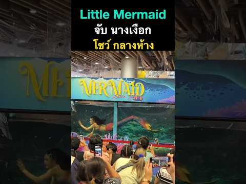 little mermaid จับ นางเงือก โชว์กลางห้าง