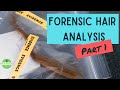 Hair Structure and Forensic Analysis