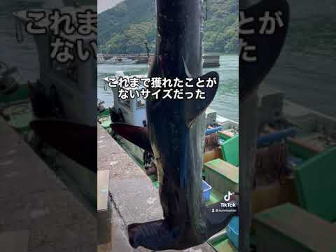 世に知られていない海の魔物。