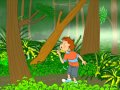 Exploring the Rainforest Ecosystem