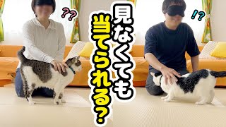 【間違えたら罰ゲーム】飼い主は目隠しでも愛猫を当てられるのか！？