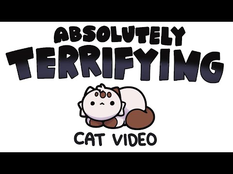 scary cat video