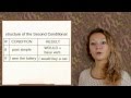 Understanding Conditionals in English