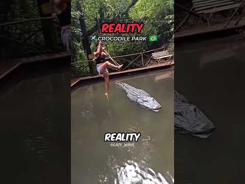 She SWUNG Over a CROCODILE?! 😱