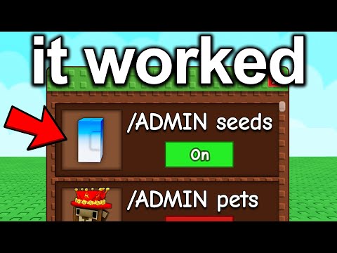 Begging Until I Get ADMIN Commands