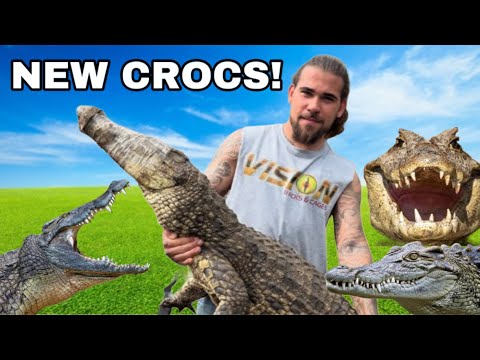 6 New CROCODILES! (Croc Farm TOUR!)