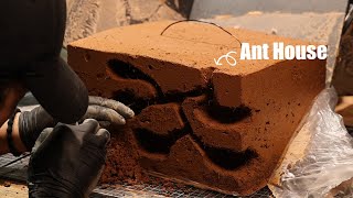 지하 땅굴 개미 비바리움 만들기 (정브르님 의뢰작품) | Building a Vivarium: The Underground World of Ants