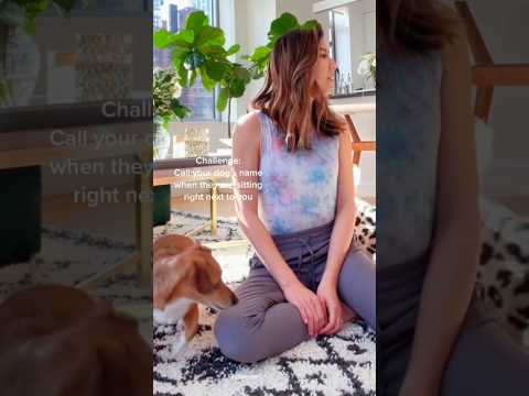 every day a joy 91 #funny #laugher #viralvideo #pets #laugter #foryou #animals  #shortvideo #short