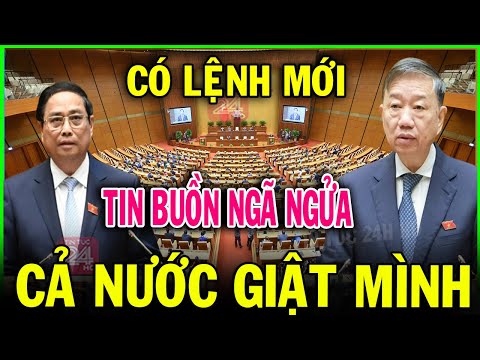 Tin nóng ĐẶC BIỆT mới nhất 12/01//Tin nóng Việt Nam Mới Nhất Hôm Nay#tintuc24hhd