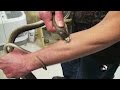 Tim's Snake Venom Immunity Method