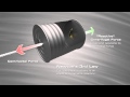 Understanding Centripetal and Centrifugal Forces