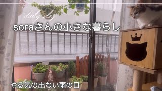 《ひとりと3匹の気ままな暮らし》雨の日は読書と刺繍と3匹と/本を読んで思い出した事/具沢山パスタ、簡単ナス料理　　#ひとり暮らし  #60歳代 