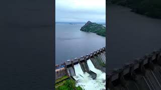 जवाई बांध गेट खुलगया | #subhjourneyshorts2 #jawaidvlog #jawaibandh #rajasthan #luniriver #viralvideo