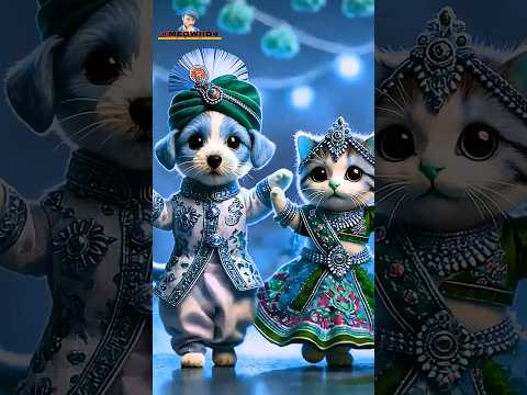 CRAZY CUTE CAT DANCE IN THE MUSIC || ❤️😂🥰💃🥁 PART - 361 #CUTE #CAT #CATDANCE #SHORTS #SHORTSFEED