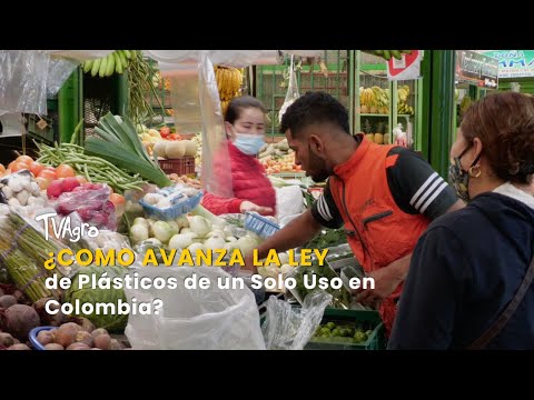 YouTube video thumbnail: How is the Single-Use Plastics Law Progressing in Colombia?