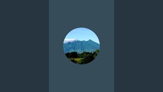 Mein Leben in Indonesien is live!