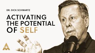 Life-Changing Therapy: Healing Parts & Revealing Entities | IFS Founder Dr. Richard Schwartz