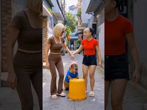 Capybara tìm được vàng ngoài đường và cái kết cực hài hước #capybara #shorts