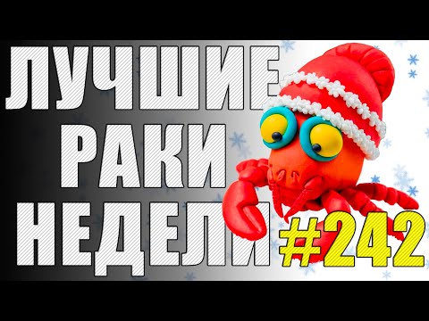 ЛРН выпуск №242 🤪 ПОГОЛУБЕВШИЙ АРТОХЕЙТЕР и ЛЕЧЕБНЫЙ ЧЕМОДАН [Лучшие Раки Недели]