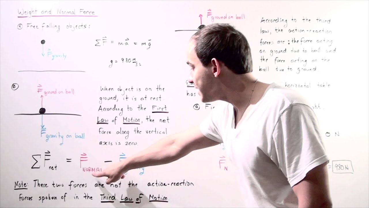 weight-and-normal-force