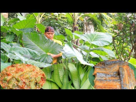 Sambal lompong [keladi] kebun lalap lamtoro muda layur asin