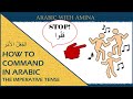 Exploring the Arabic Imperative Verb Tense