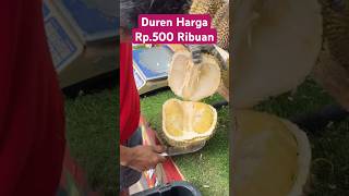 Duren Harga Rp.500 Ribuan