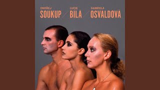 Lucie Bílá  Tolik vína tolik slov